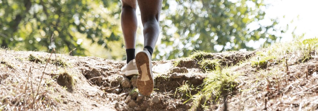 Les Templiers : Une légende en&nbsp;transition
